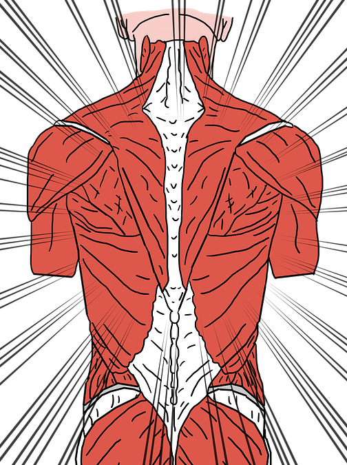 How Tight Muscles Result in Back Pain